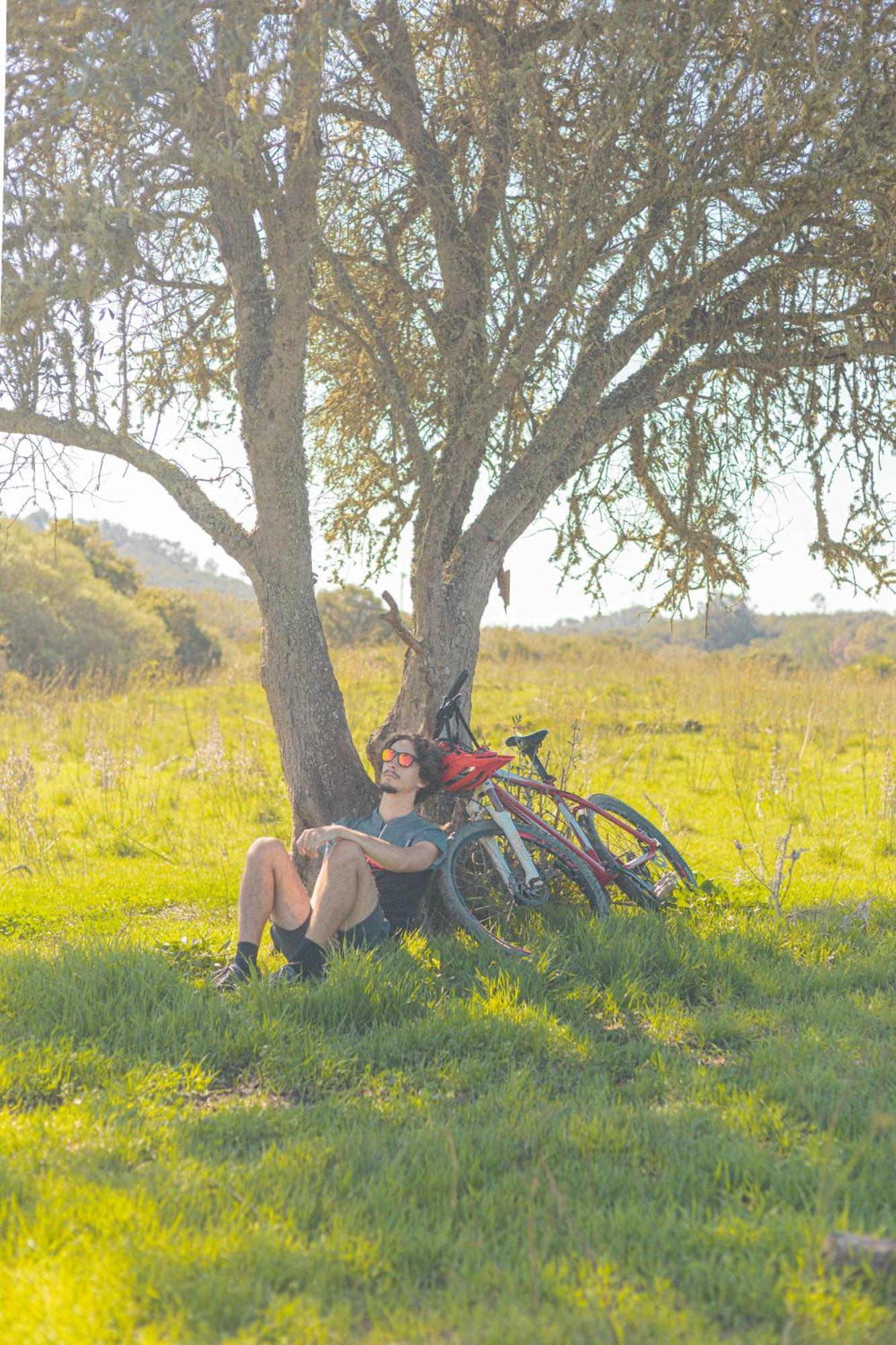 Casa de Campo Aldeia Da Pedralva - Slow Village *